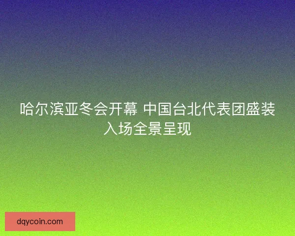 哈尔滨亚冬会开幕 中国台北代表团盛装入场全景呈现